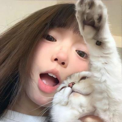 请求庇护